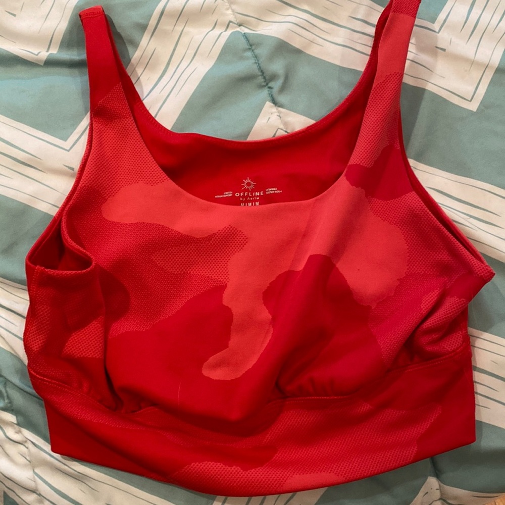 Aerie sports bra